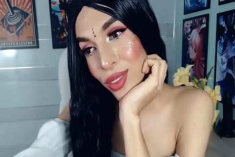 Beautytrans sheboy Live