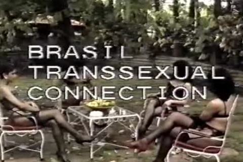 Brasil Transexual Connection