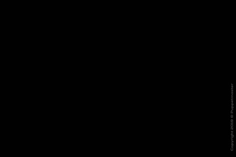 Futa 3d Animation