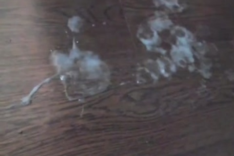 large cumshot At 08:16 By yummy pretty Ladyboy Thippy69 On web camera, Part 9