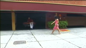 brunette tranny babe pooper driled