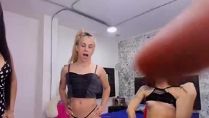 tranny Beauties Has Some three-some enjoyment