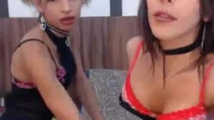 dirty non-professional tranny cam Transbian Session