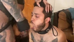 master-hoe, Transexual, And bondman