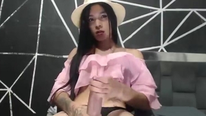 Hard penis tranny Plays
