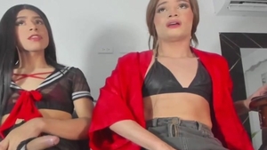 Ladyboys Masturbating Their dicks On Live
