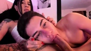 shemale receives Sucked By Boyfriend
