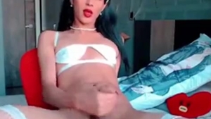 Skinny legal age teenager latina Trans gal With White Fishnet nylons Jerks Off Her cock On cam