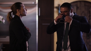 Transgressive Films: Shemale Surprises in the Shadows
