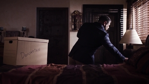 Transgressive Films: Shemale Surprises in the Shadows