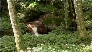Outdoor charming Sex & ejaculation
