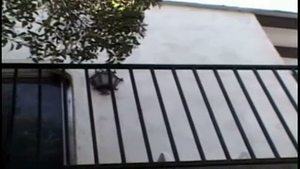 TS Brenda deepthroating