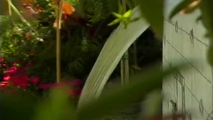 sheboy Outdoor Mutual fuck