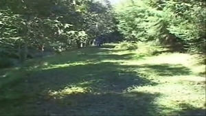 pokeing threesome In A Forest