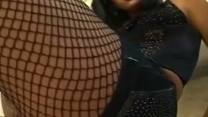 Pantyhouse dark brown Latine Brazil