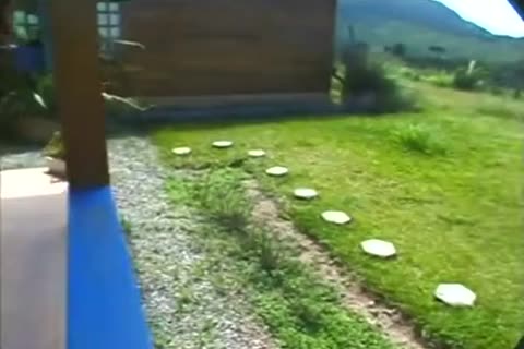 Brasilians trannies slam (135)