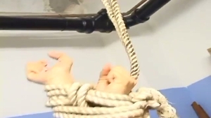 tied Up shetwink Is Released Just For A fine plow
