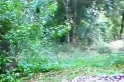Outdoor Interracial For busty Sthis manmale