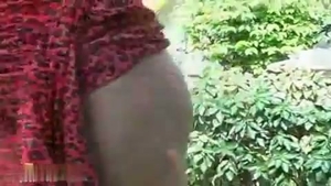 DELICIOSAS TRANS LESBICAS ASIATICAS