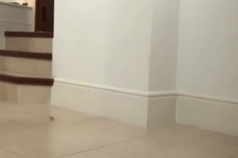 MILF gets A banging From A ladyman Rm450