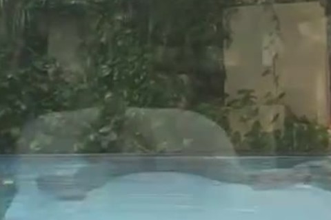 Suzany Petrovick Follada En Piscina