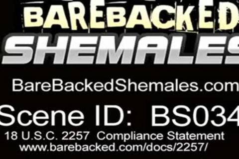 giant bumpers brunette ladyboy gets Rammed