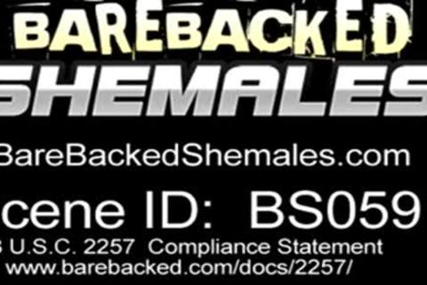 diminutive breasts ladyboy And boy Mutual Sex