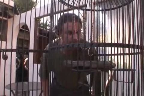 that babe Loses His Bird And Pays The Price