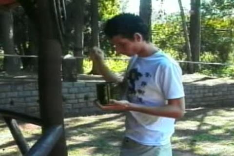 young blond shelady Gives lucky lad bj In Park
