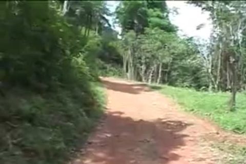 Sex In The Forest - Eros Media
